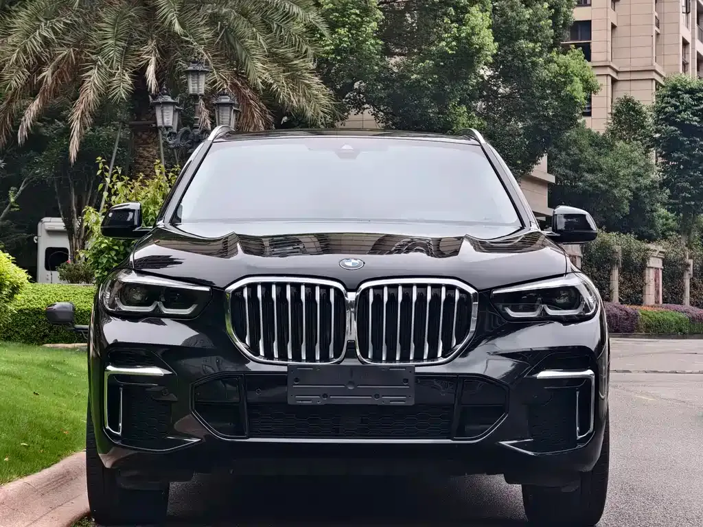 BMW X5 — фото 9