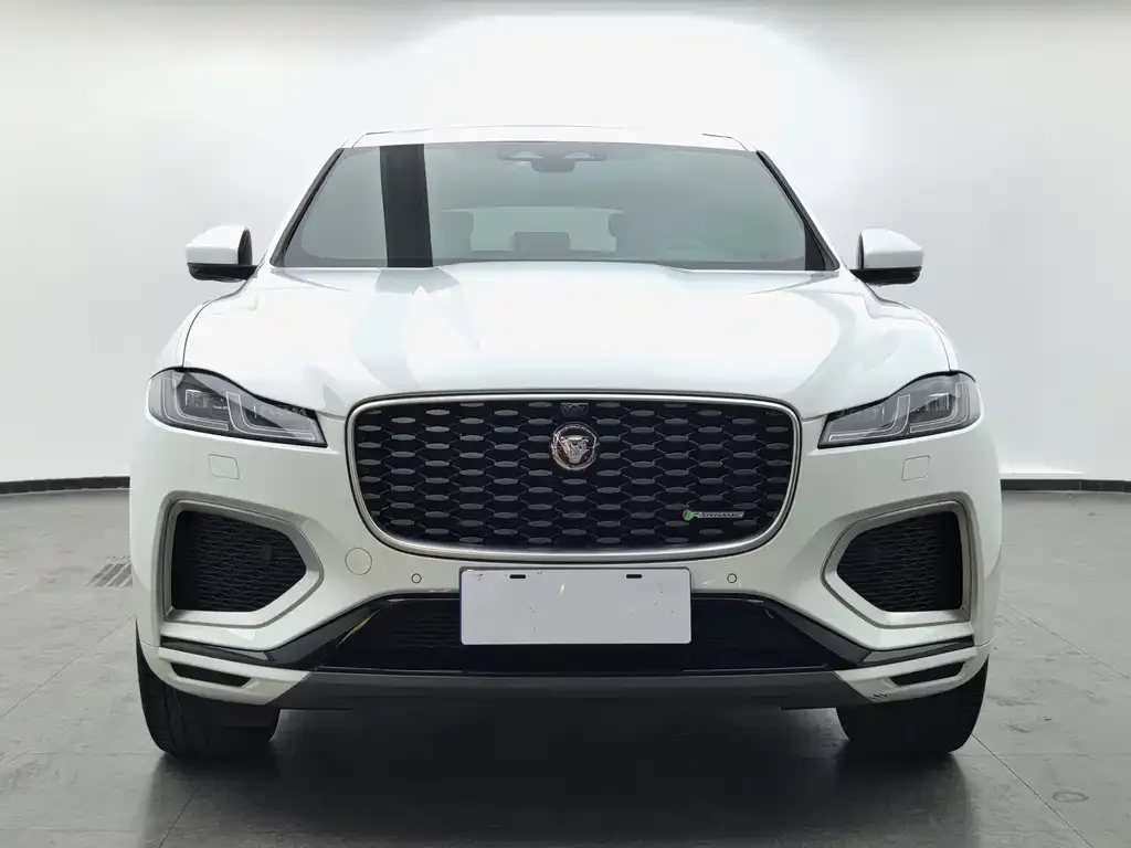 Jaguar F-PACE — фото 8
