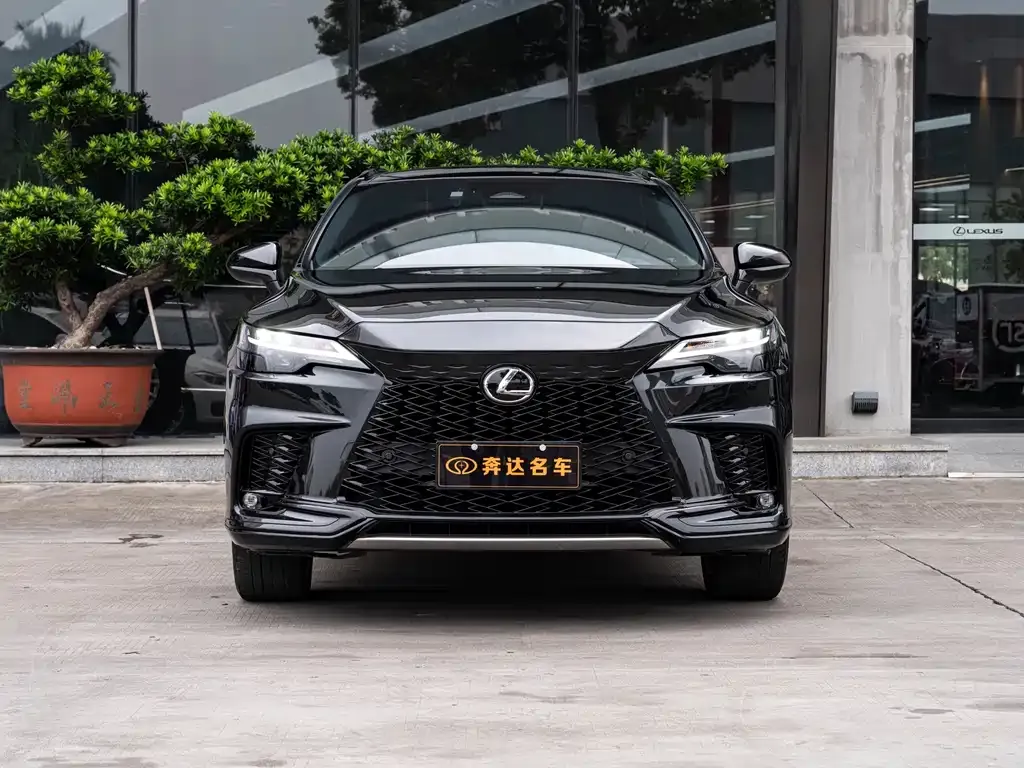 Lexus RX — фото 8