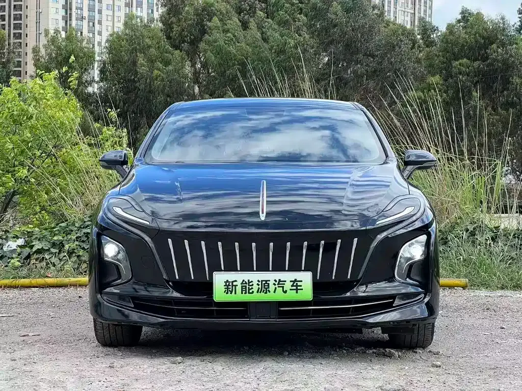 Hongqi E-QM5 2023 из CN, фото 4