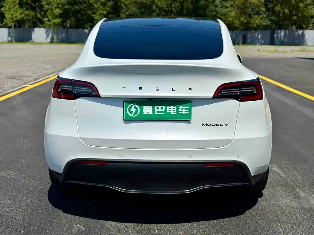 Tesla Model Y — фото 4