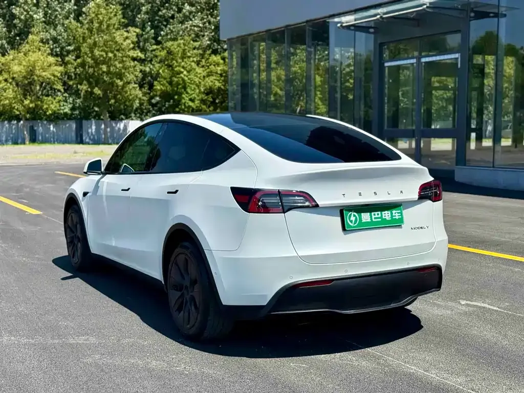 Tesla Model Y — фото 10