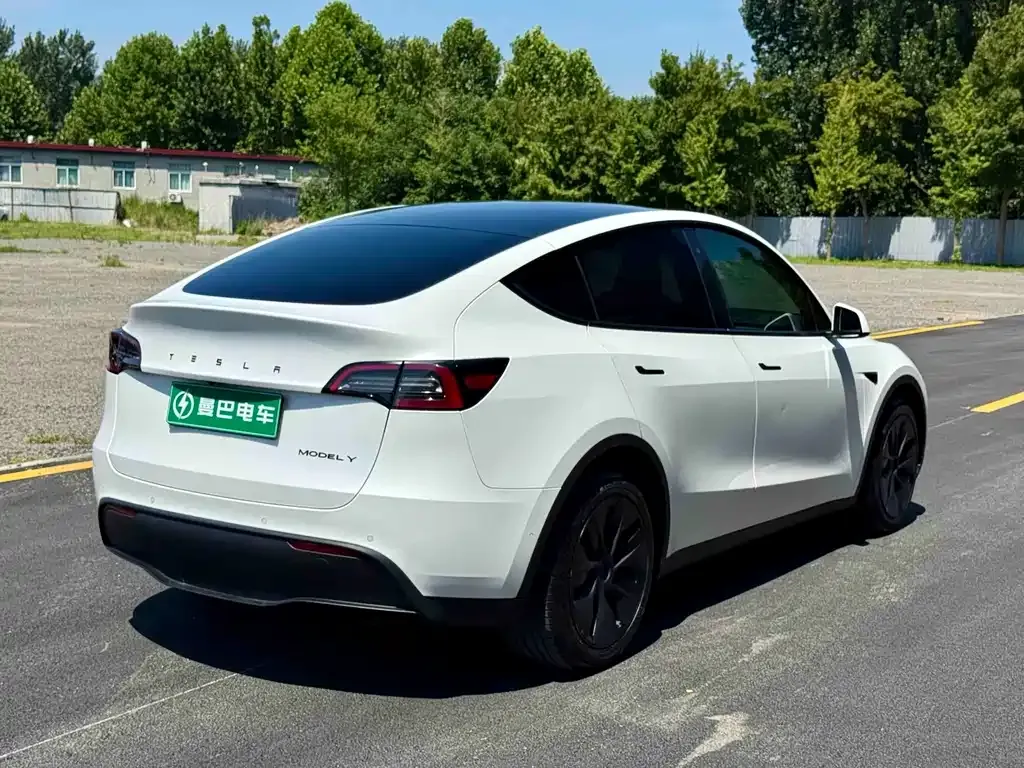 Tesla Model Y — фото 9