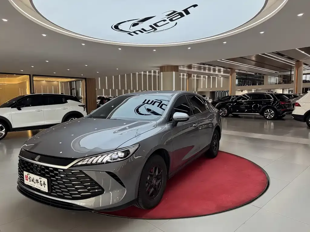 BYD Qin PLUS — фото 1
