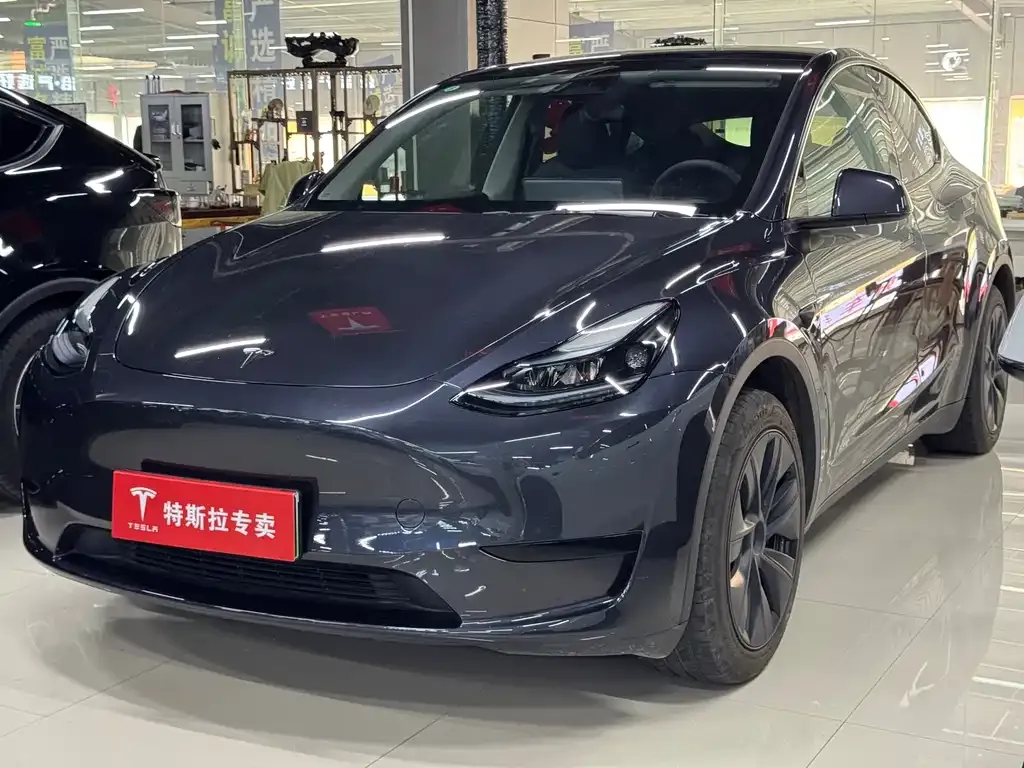 Tesla Model Y — фото 1