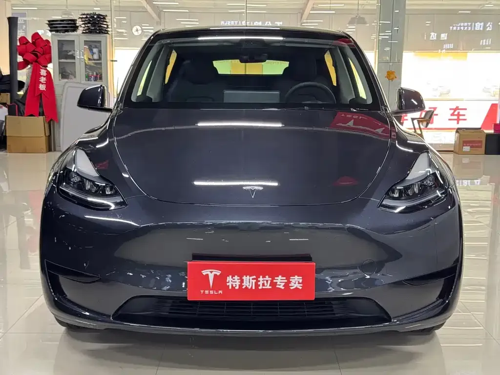 Tesla Model Y — фото 8