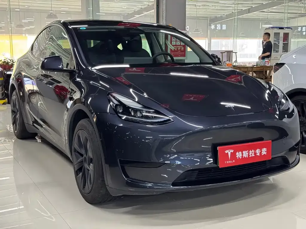 Tesla Model Y — фото 10