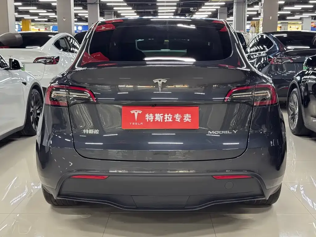 Tesla Model Y — фото 9