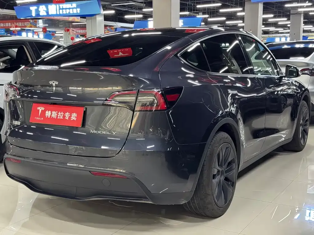 Tesla Model Y — фото 2