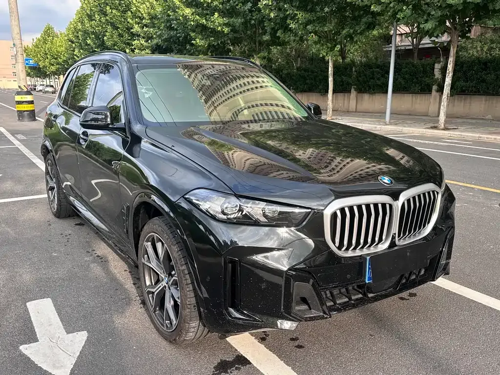 BMW X5 — фото 10