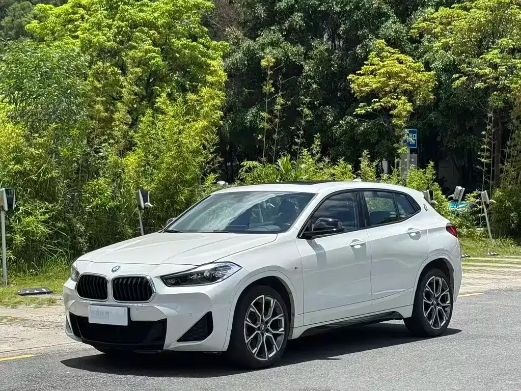 BMW X2 — фото 1