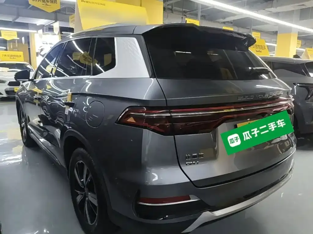 BYD Pro New Energy — фото 9
