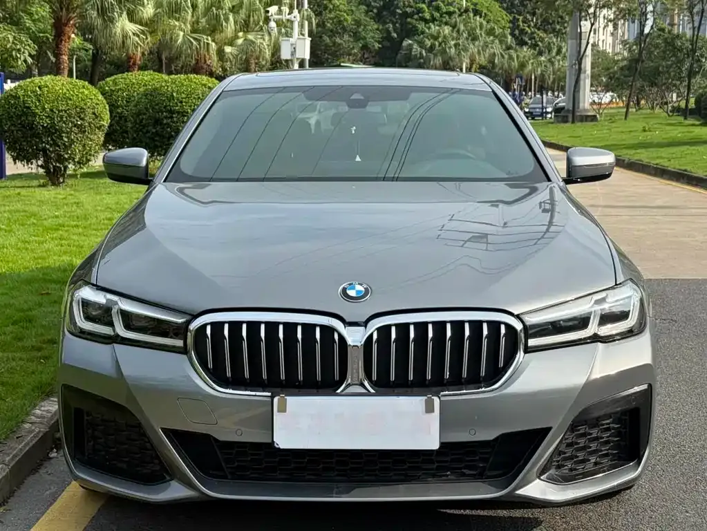 BMW 5 Series (Import) 2023 из CN, фото 5