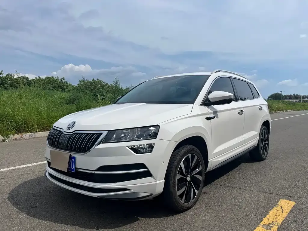 Skoda Karoq — фото 3