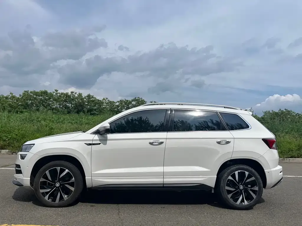Skoda Karoq — фото 5
