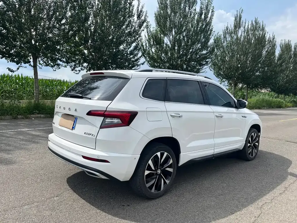Skoda Karoq — фото 7
