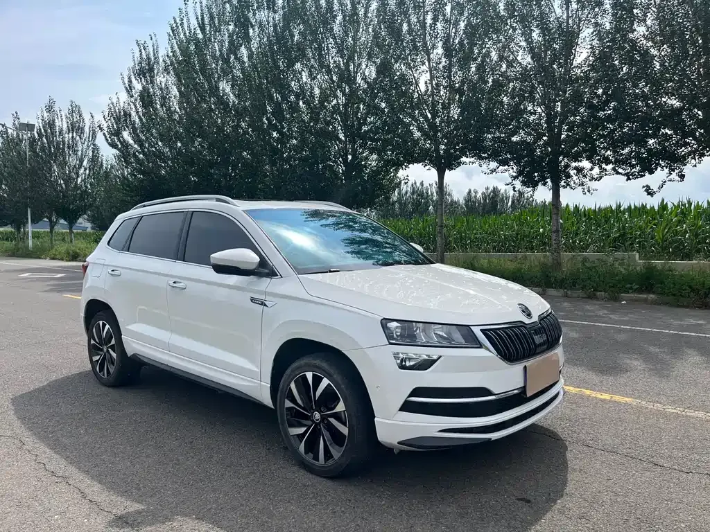 Skoda Karoq — фото 8