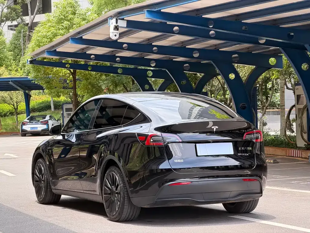 Tesla Model Y — фото 10