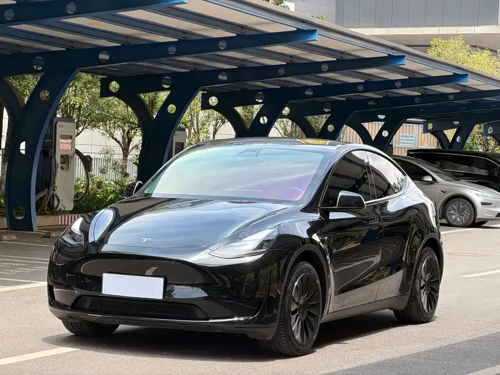 Tesla Model Y — фото 8