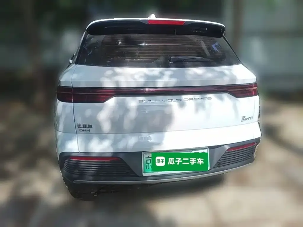 BYD Pro New Energy — фото 3