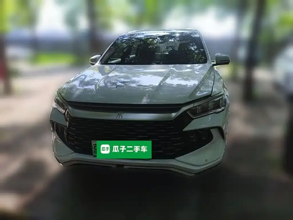 BYD Pro New Energy — фото 4