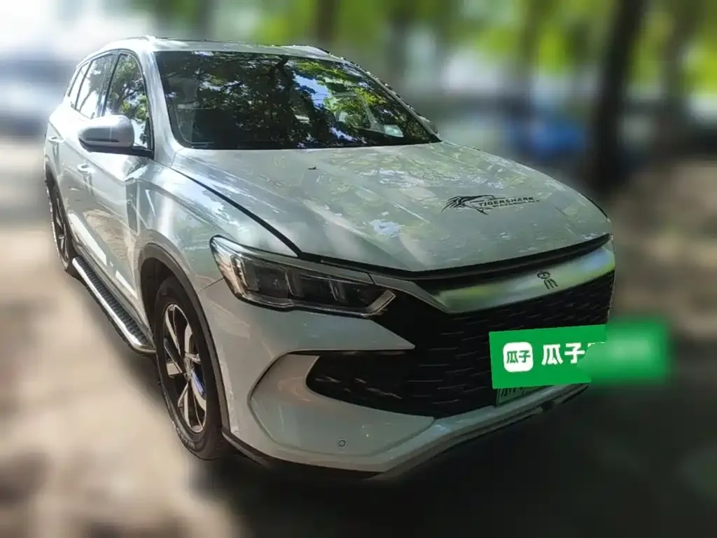 BYD Pro New Energy — фото 10