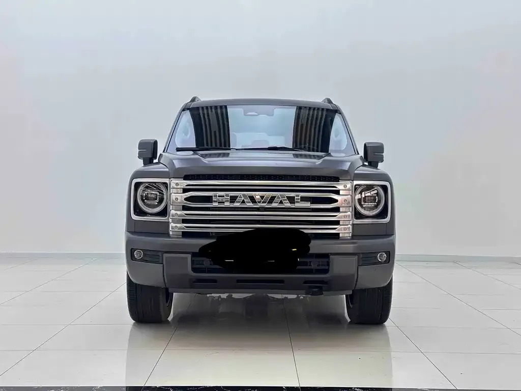 Haval H9 2024 из CN, фото 3