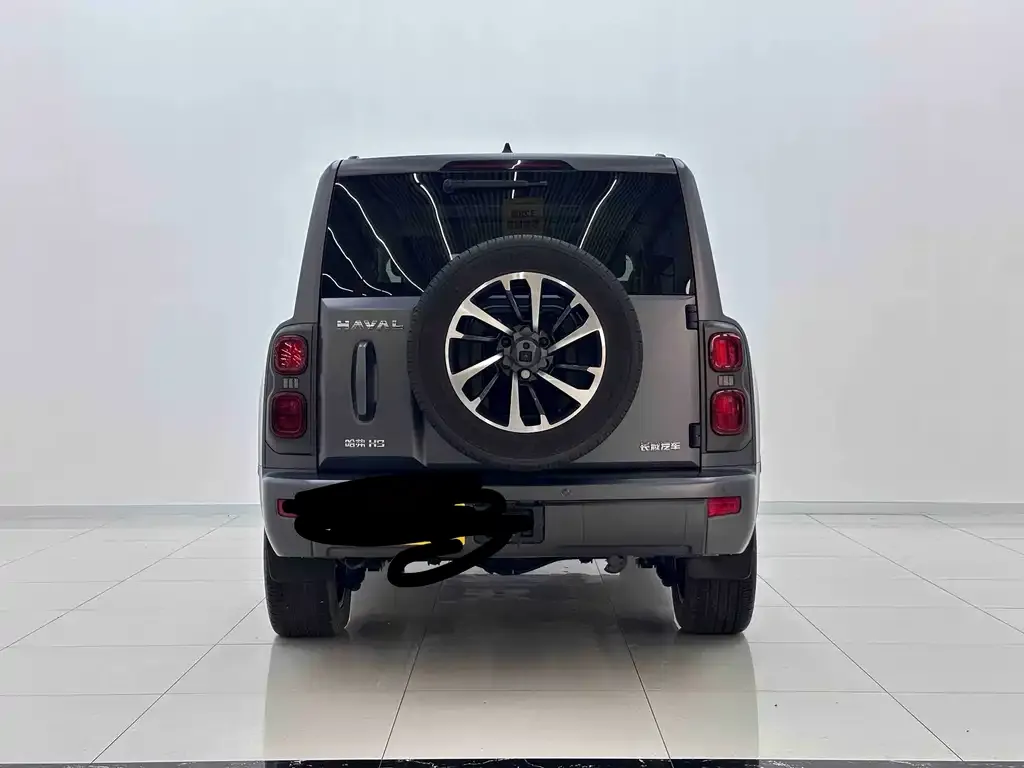 Haval H9 2024 из CN, фото 5