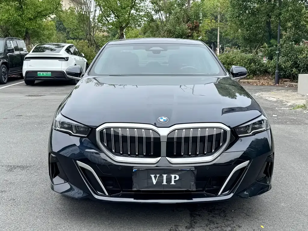 BMW 5 Series 2024 из CN, фото 9