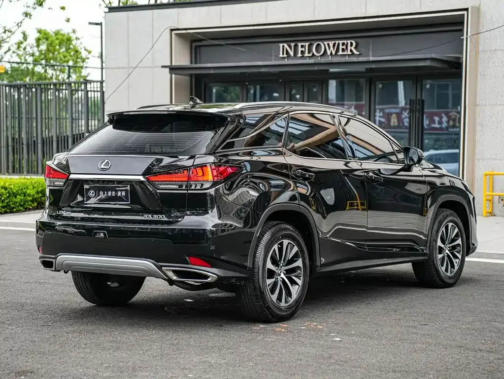 Lexus RX — фото 3