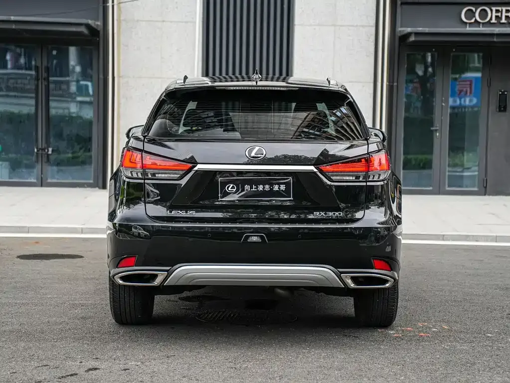 Lexus RX — фото 6