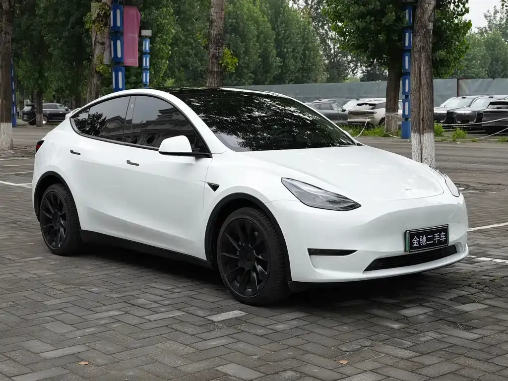 Tesla Model Y — фото 2