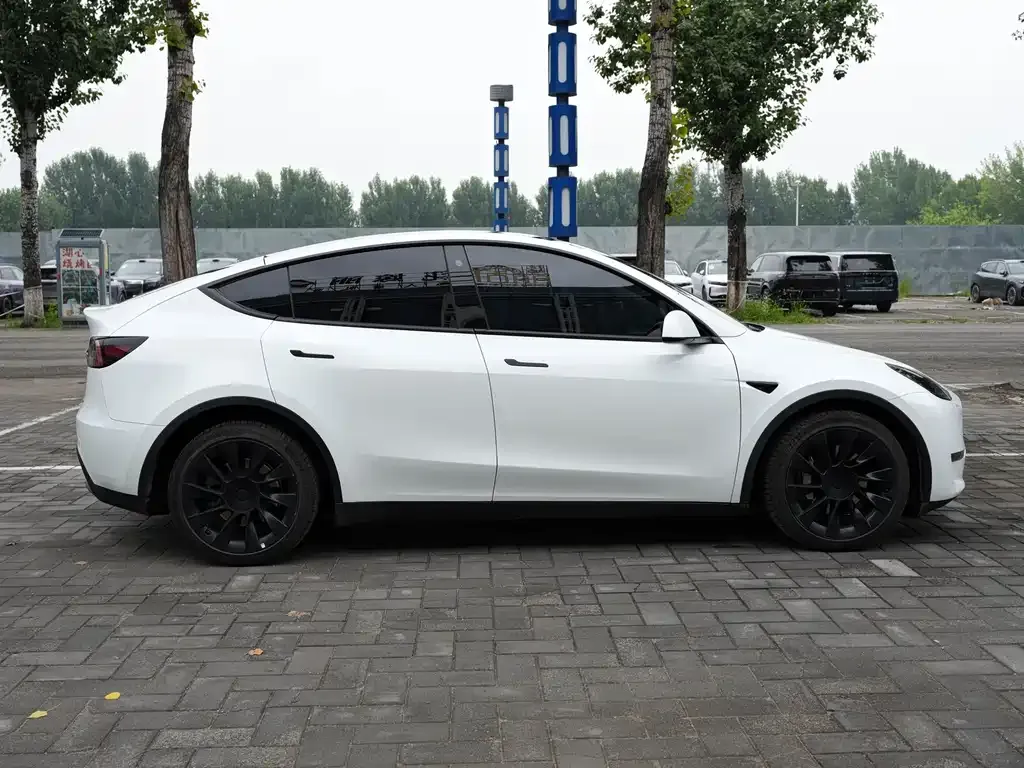 Tesla Model Y — фото 9