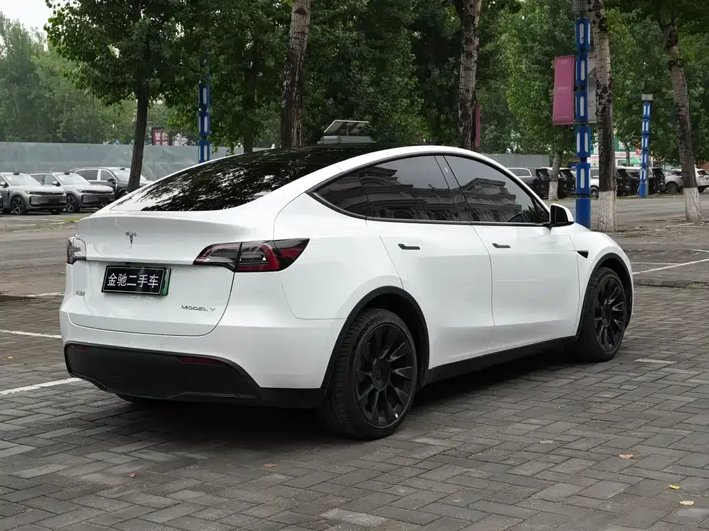 Tesla Model Y — фото 3