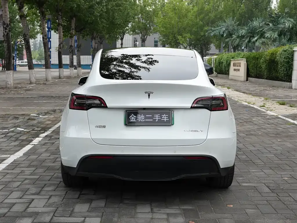 Tesla Model Y — фото 8
