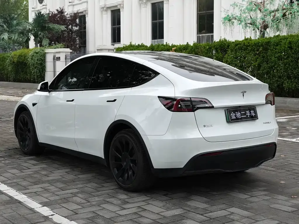 Tesla Model Y — фото 6