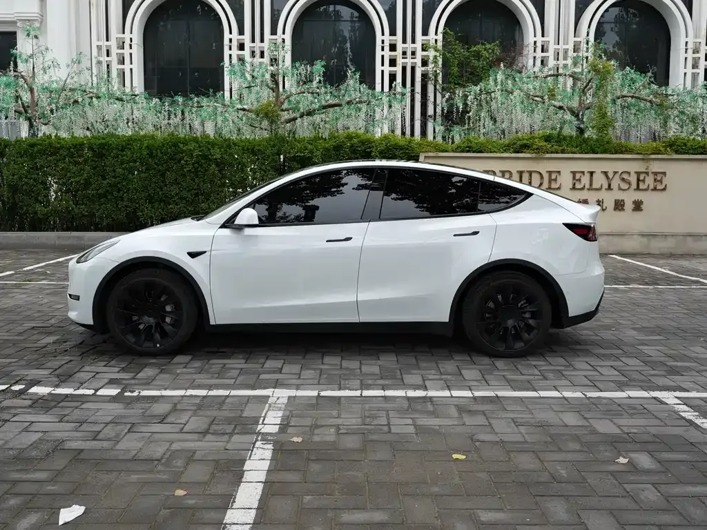 Tesla Model Y — фото 10