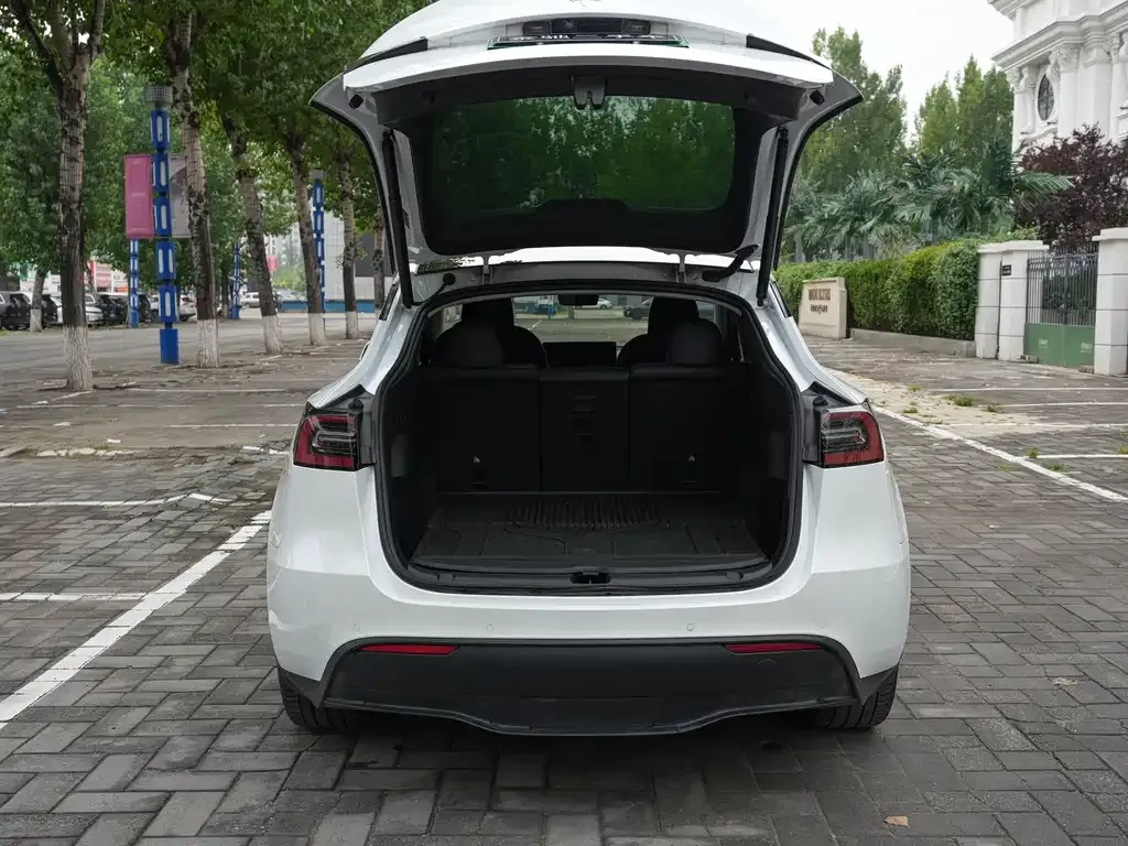 Tesla Model Y — фото 7