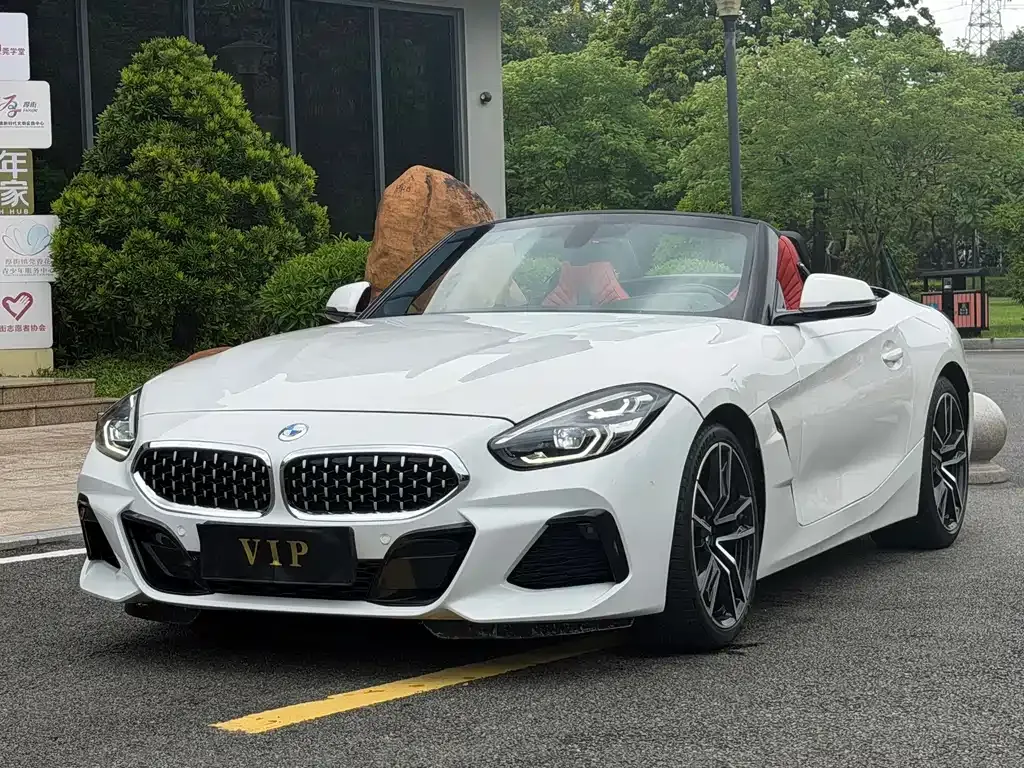 BMW Z4 — фото 10
