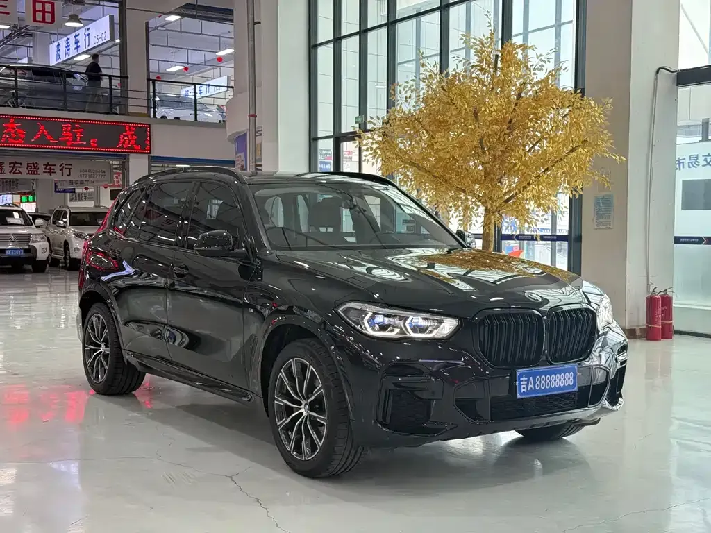 BMW X5 — фото 4