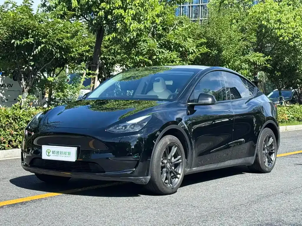 Tesla Model Y — фото 1