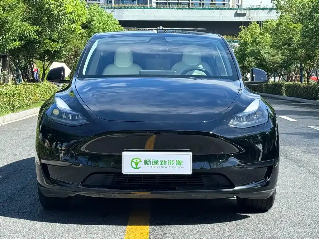 Tesla Model Y — фото 4