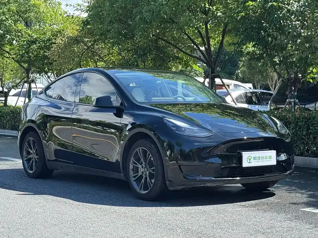 Tesla Model Y — фото 6