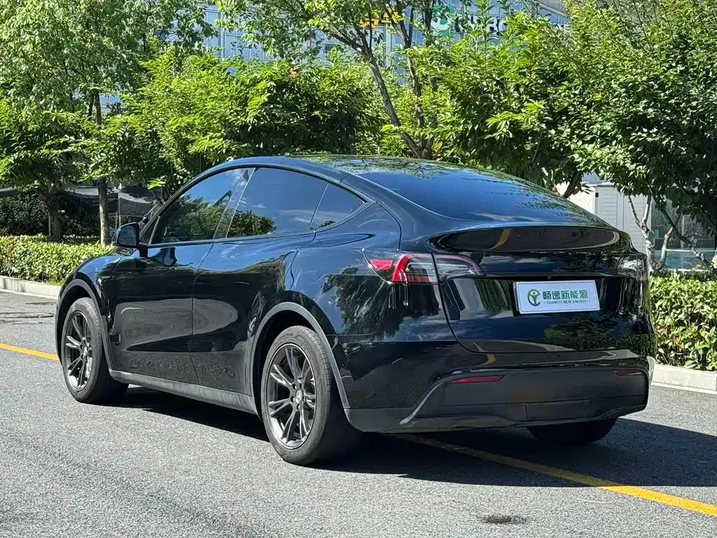 Tesla Model Y — фото 8