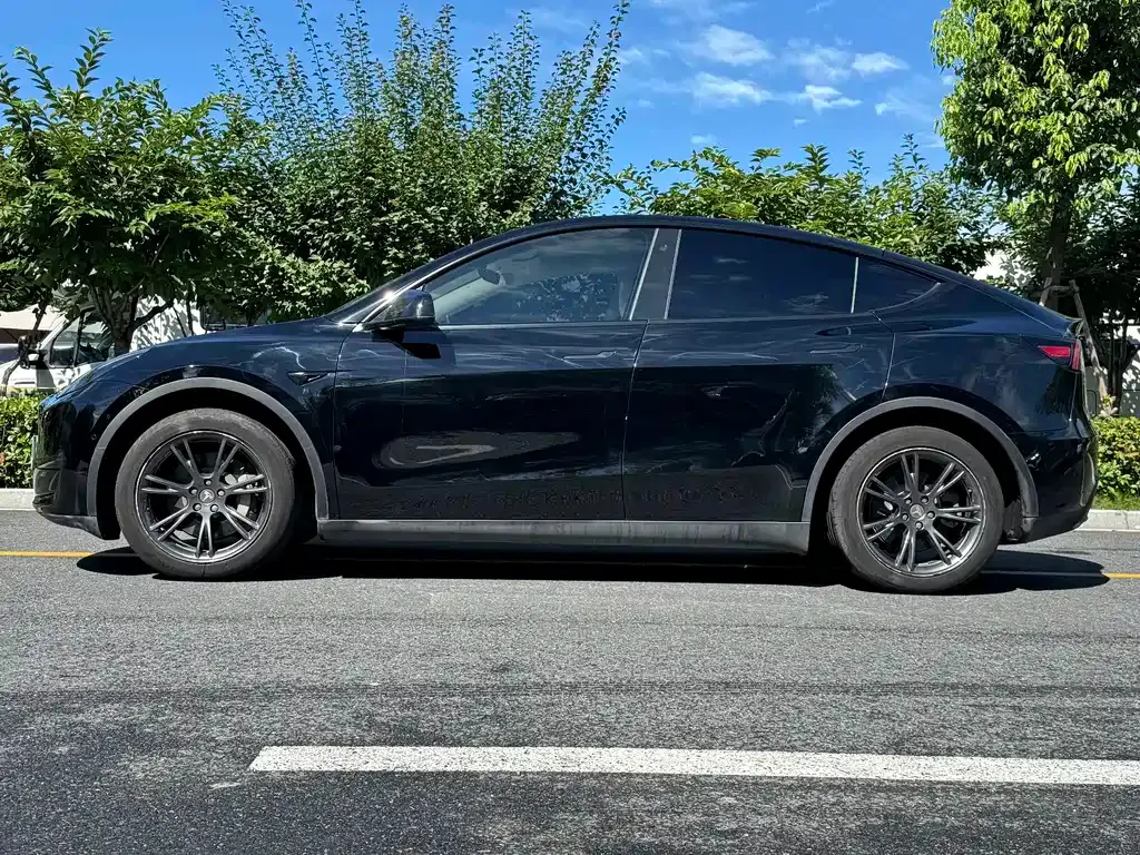 Tesla Model Y — фото 10