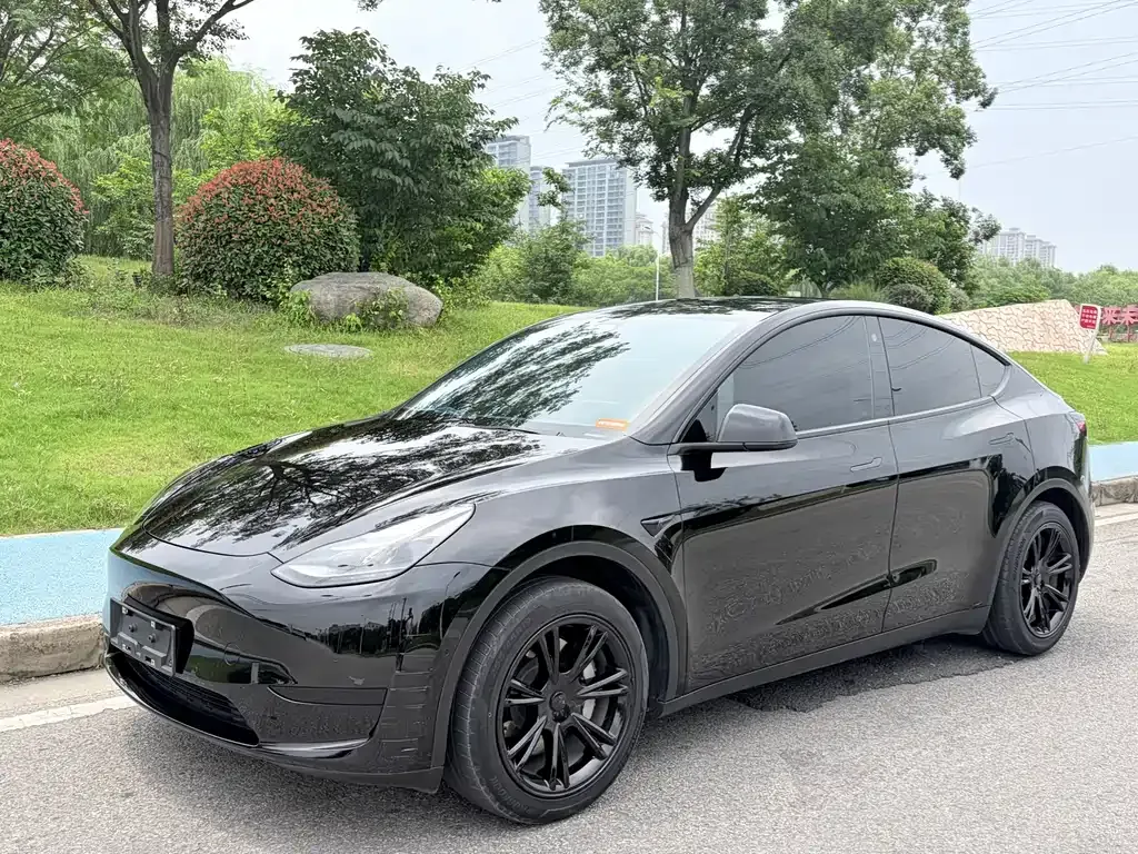 Tesla Model Y — фото 1