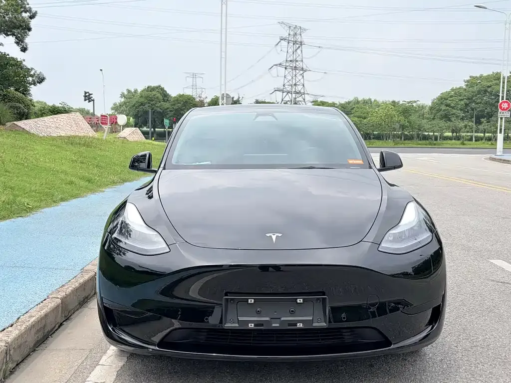 Tesla Model Y — фото 5