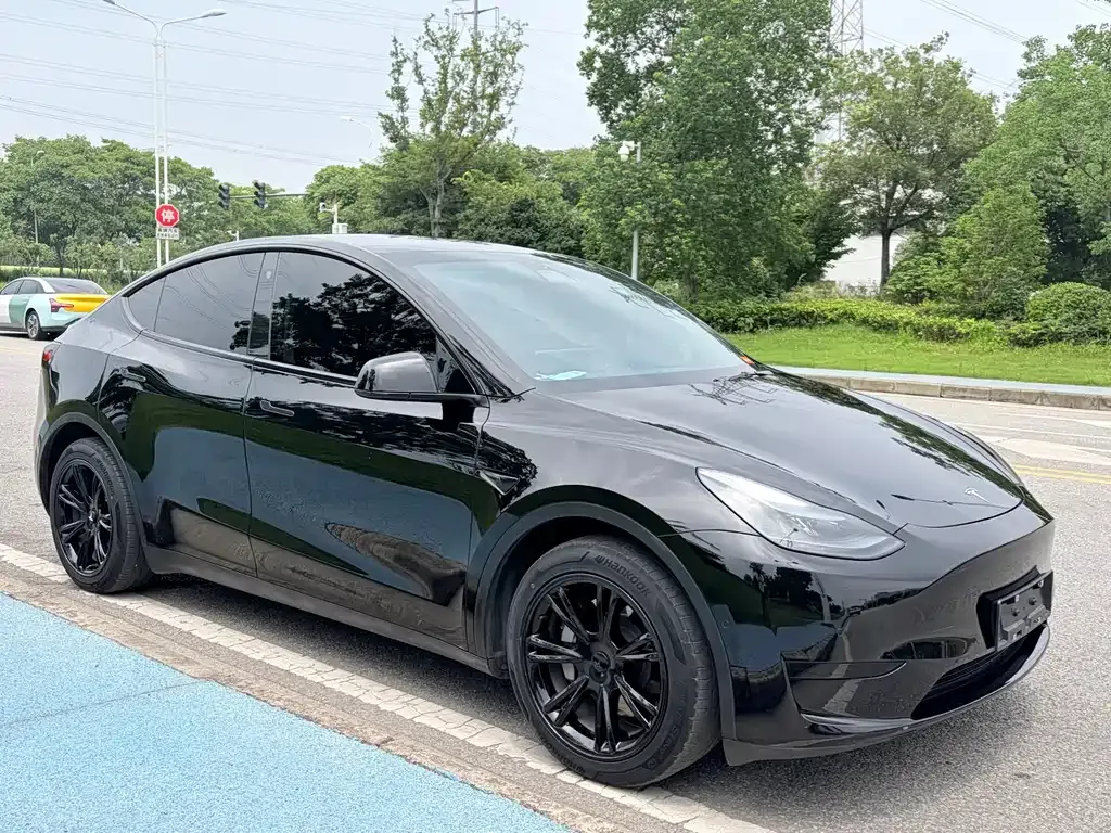 Tesla Model Y — фото 6