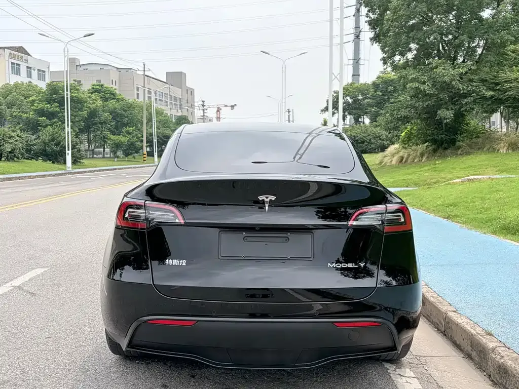 Tesla Model Y — фото 8