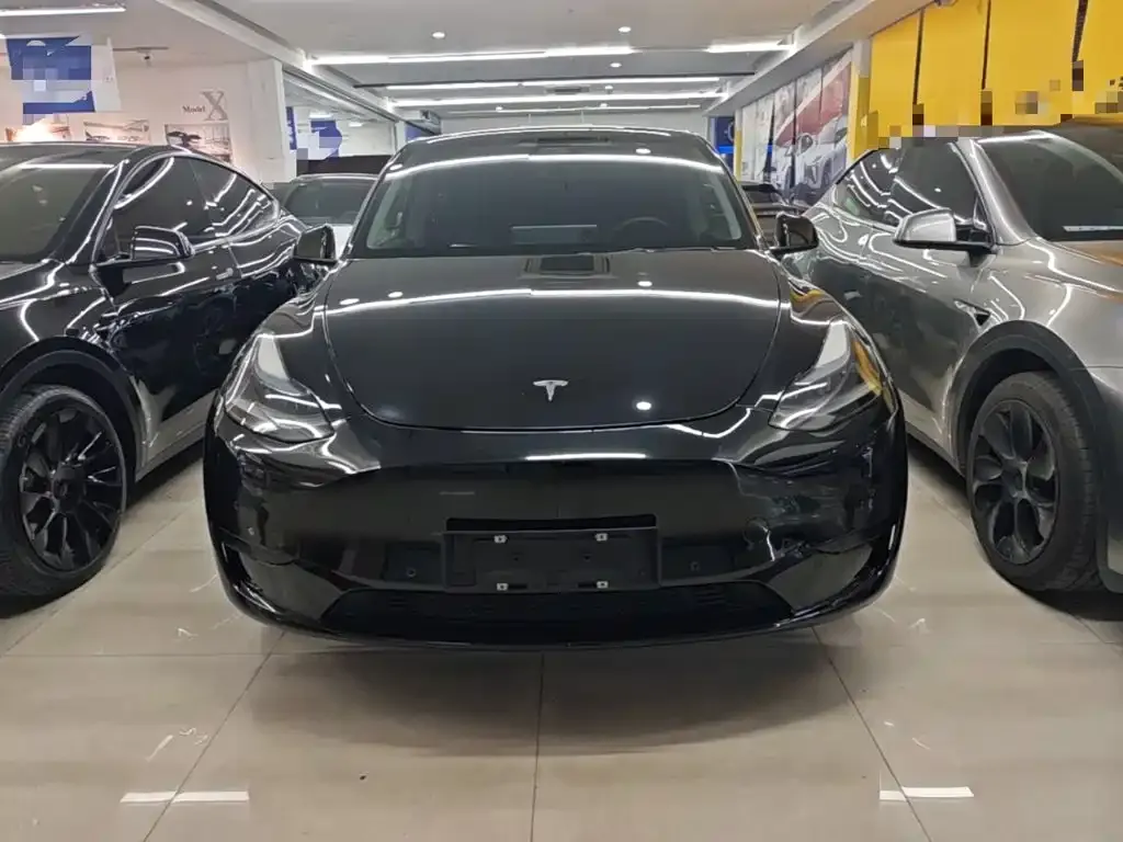 Tesla Model Y — фото 10